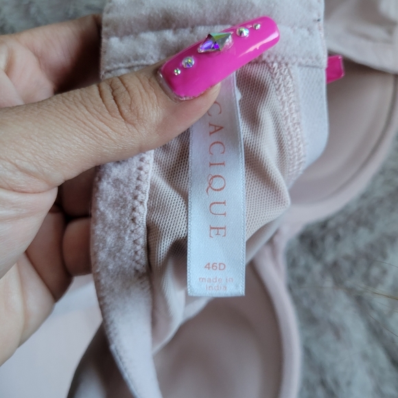 Lane Bryant Size 46D Dusty Pink and Cream Lace - Picture 3 of 3